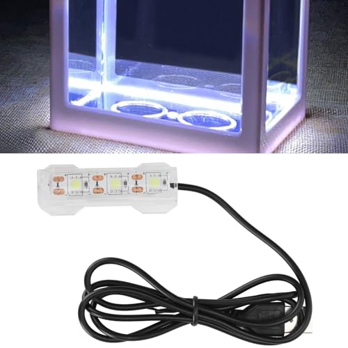 Zerodis Small Underwater Aquarium Light, Lightweight Water Plant LED Light Freshwater Fish Tank Lamp Aquarium Accessories Fit for Office Desktop Decorations USB Charging 6X 2cm