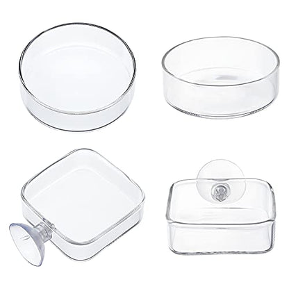 SUPERFINDINGS 4Pcs 2 Styles Transparent Glass Aquarium Shrimp Food Feeder Dish Fish Tank Feeding Bowls Dishes Flat Round Square Clear Feeding Bowl