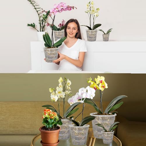 12Pcs Orchid Pot, 3 Each of 4.5, 5.5, 6.3 and 7.5 Inch Orchid Pots with Holes, Clear Plastic Flower Plant Pot Indoor Outdoor Use(3 Each of 4.5,5.5, 6.3,7.5in)