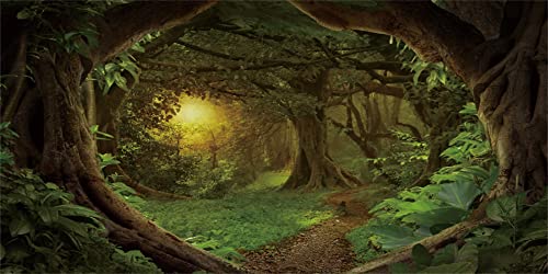 AWERT 48x20 inches Psychedelic Forest Terrarium Dim Old Trees Woodland Reptile Habitat Green Rainforest Aquarium Vinyl Background - size: 48" x 48"