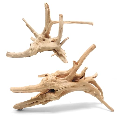 Natural Spiderwood for Aquarium Decor 2-Piece 11''-14'' Long Natural Driftwood Branches for Fish Tank Decorations