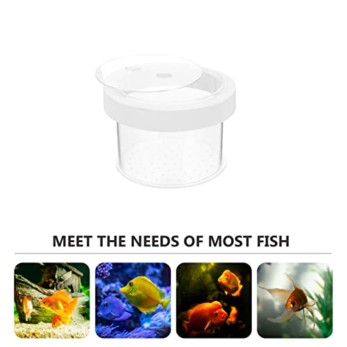 Ipetboom Fish Tank Separate Box Floating Aquarium Breeding Box with Lid 4.72X4.72X3.14In Acrylic Fish Isolation for Small Guppy Fry