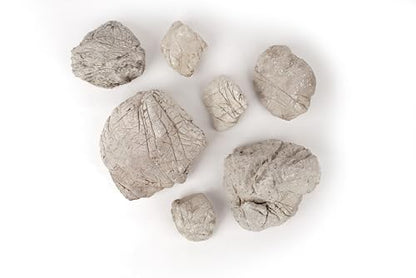 Elephant Skin Stone Natural Multi-Texture Rocks Grey(18lbs, 3~9 inches,7pcs) for Aquarium, Paludarium, Terrariums, Landscaping, Decorative of Caves, Waterfalls, Cliffs - size: 16 Elephant Skin Stone Grey(3-9 inches,18lbs)