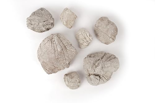 Elephant Skin Stone Natural Multi-Texture Rocks Grey(18lbs, 3~9 inches,7pcs) for Aquarium, Paludarium, Terrariums, Landscaping, Decorative of Caves, Waterfalls, Cliffs - size: 16 Elephant Skin Stone Grey(3-9 inches,18lbs)