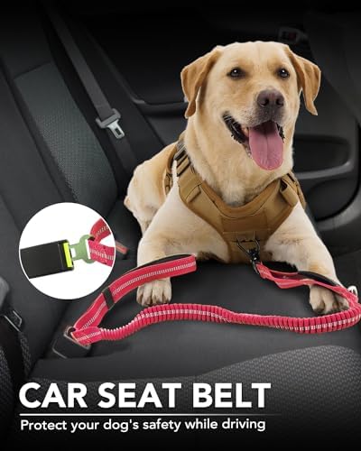 Joytale Tactical Bungee Dog Leash, Shock Absorbing No Pull, Hot Pink - color: Hot pink