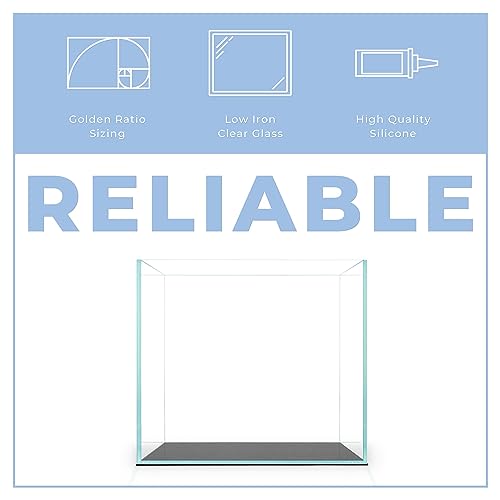 2 Gallon Clear Glass Cube Rimless Tank - Space Saving Aquarium - 7.87 x 7.87 x 7.87 inches