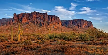 30X12IN Desert Rock High Mountain Cactus Oasis Reptile Habitat Background, Natural Blue Sky Sun Desert Themed Terrarium Background, Aquarium Background with 10 EVA Double-Sided Tape - size: 30X12in/75X30cm