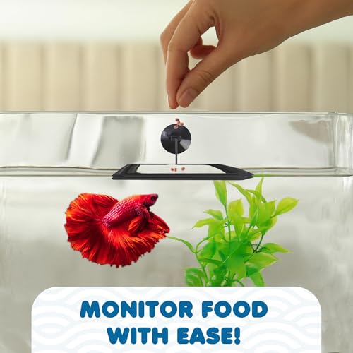 SunGrow Fish Food Feeding Ring, Stop Water Turbulence from Washing Food & Floating Plants into Filtration System, Suitable for Flakes & Floating Fish Pellets (3 Pieces)