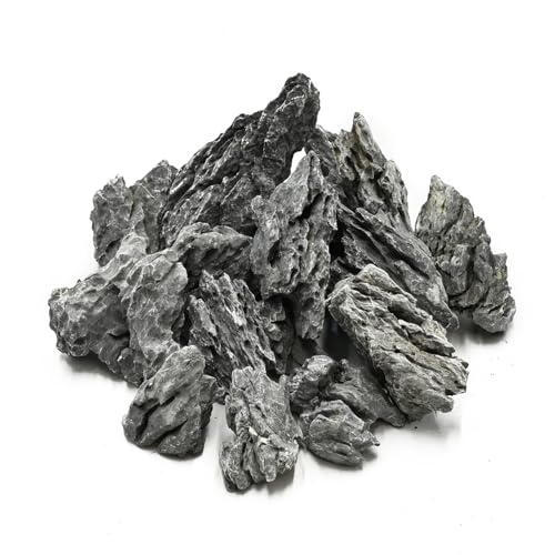 Natural Rocks Seiryu Stone 1-2.5 Inches Decorative Stones for Fairy Gardens,Miniature Landscaping,Bonsai,DIY Crafts, Aquariums & Reptile Terrariums-1lb
