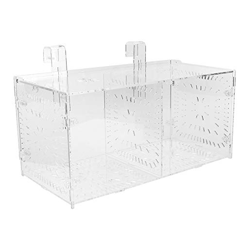 Acrylic Fish Breeding Box 20x20x20cm Mesh Rearing Trap for Baby Shrimp Clownfish Guppy, Isolation Board Prevents Adult Attack, Adjustable Suction Cup Fixation for Aquarium Hatchery - size: 30CM*15CM*15CM