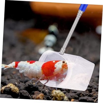 Toyvian 2pcs Telescopic Shrimp Net and Aquarium Fish Net with Fine Stainless Steel Mesh Lightweight Mini for Betta Fish Breeding Tanks and Aquarium Maintenance Cleaning