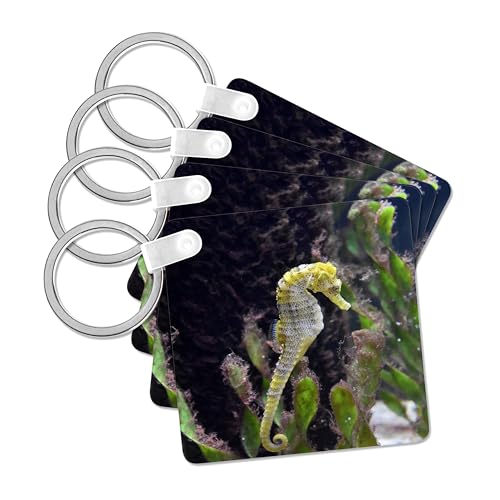 3dRose, Yellow and white seahorse aquarium animal, set of 4 Key Chains