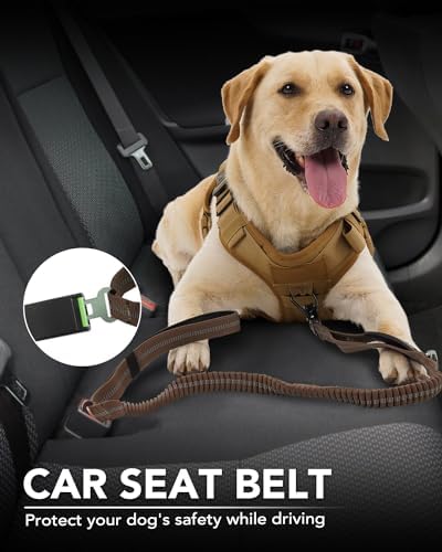 Joytale Tactical Bungee Dog Leash, Shock Absorbing No Pull, Brown - color: Brown