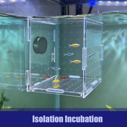 Aquarium Breeding Box,Magnetic Fixation Acrylic Fish Tank Isolation Box with Feeding Hole for Fish Hatching Rearing