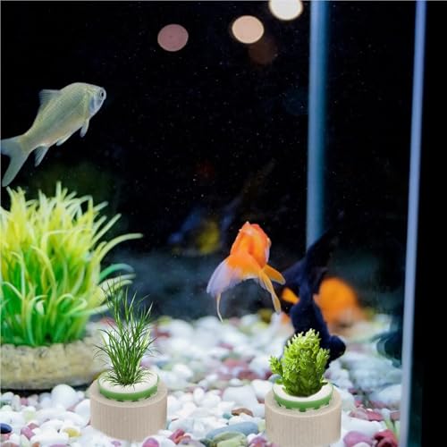 25 Sets Aquarium Plant Anchors Sturdy Ceramic Pots Prevent Floating Secure Root Growth Easy Use for Various Aquatic Plants