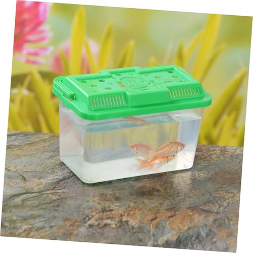 Abaodam Turtle Habitat and Fish Breeding Tank, Sturdy Pp Plastic Transport Box 15x9x11cm, Portable Aquarium for Small Reptiles and Goldfish Housing