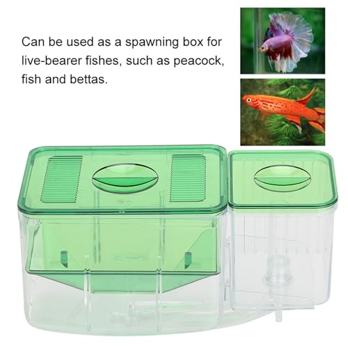FILFEEL Aquarium Breeding Box for Isolation of Newborn Fish and Shrimp - DoubleLayer Incubator for Small Life