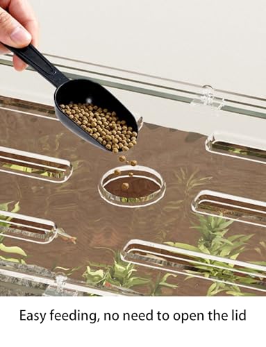 Acrylic Aquarium Lid, Easy Feeding, Transparent Fish Tank Cover, Scratch Resistant, for Fish and Turtle Tank(31.5x12.2in)