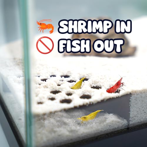 Shrimp Breeding Protection Set, 3-Pack Bundle with Hide Dome, Half Protector, Breeding Protector (Black)
