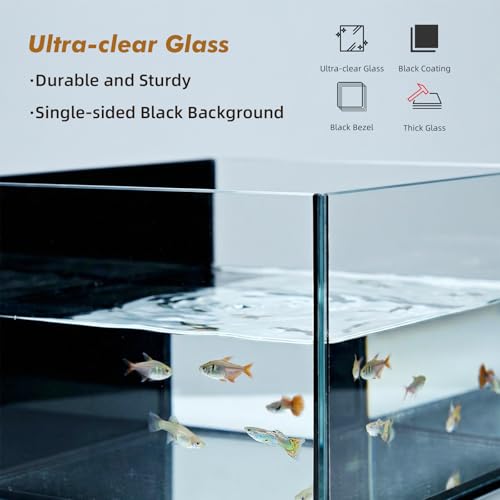 Glass Fish Tank, 2.8 Gallon Betta Fish Tank Aquarium Starter Kit with Filter and Light, Small Desktop Aquarium Kit for Betta, Goldfish, Small Fish or shrimg