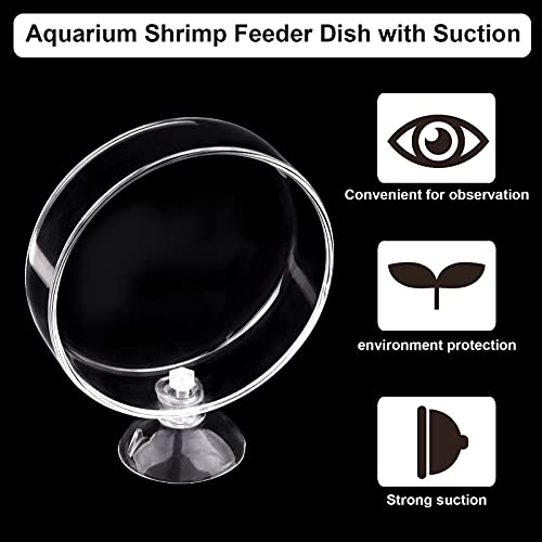 60mm Aquarium Shrimp Feeder Dish with Suction Glass Fish Tank Feeding Bowls Round Clear Dishes Tray