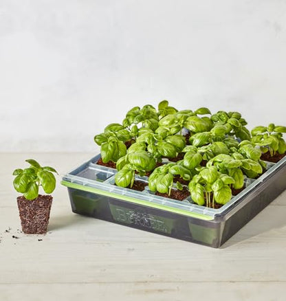 Burpee SuperSeed Starting Tray | 16 XL Cell | Reusable & Dishwasher Safe | for Vegetable, Flower & Herb Seeds | Indoor Grow Kit for Deep-Rooted Seedlings, Green - size: 16 Cells