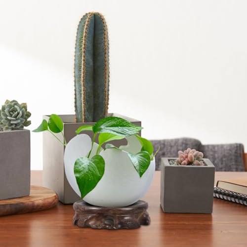 KALLORY Wooden Plant Stand Small round Planter Tray Decorative Vase Display Pedestal Blackwood Base 9.8cm Diameter 2.5cm Height for Indoor Aquarium and Bonsai