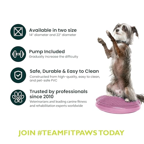 FitPaws® Dog Balance Disc, Exercise Equipment, Rehabilitation + Training, - color: Razzleberry, size: 14"