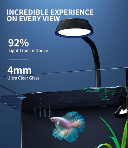 2 Gallon Fish Tank Aquarium Kit with Hidden Filtration, LED Light, Lid, Small Rimless Glass Betta Tank
