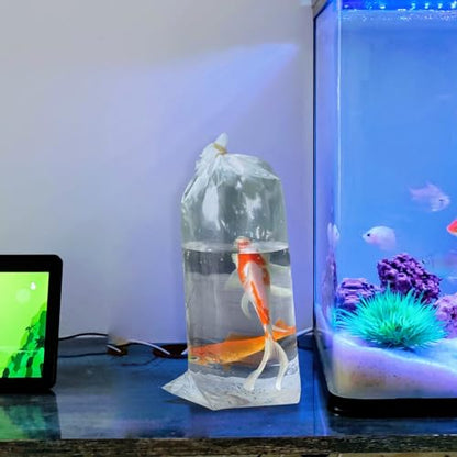 50pcs Plastic Fish Transport Bags 30x60cm Oxygen Seal for Live Fish and Aquatic Plant Shipping for Aquarium and Hatchery Use