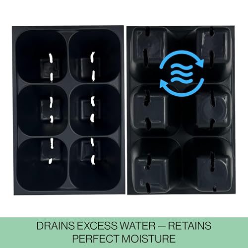 Seed Starter Trays, 144 Cells (24 Trays - 6 Cells Per Tray) + Plant Stakes - size: 24 Trays (144 Cells)