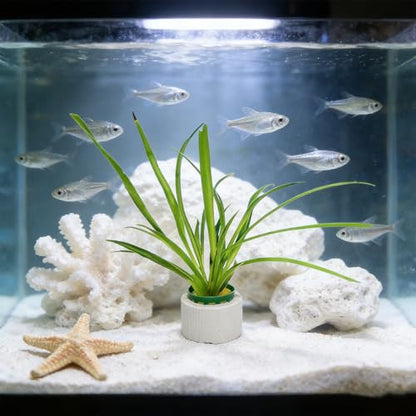 12 Set New Upgrade Aquarium Plant Weights, Anti-Floating Ceramic Water Grass Planting 3-Piece Set, Aquarium Landscape Decor for Fish Tank/Aquarium Accessories - size: 4.5cm/1.77inch×3.2cm/1.26inch