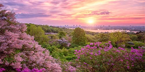 AWERT 48x20 inches Spring Cherry Blossom Terrarium Background Pink Flower Tree Sunset Floral Aquarium Background Vinyl Background - size: 48x20in/120x50cm