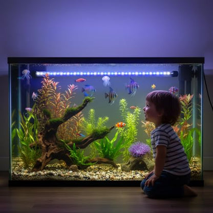 Dirvin 4W LED Fish Tank Light with Timer, Submersible Aquarium Light, 24/7 Mode Sunrise-Daylight-Moonlight and 3 Colors Adjustable Brightness, Auto On/Off, 7in - size: 7in