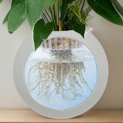 Wall Mount Vase - Strong Adhesive Silicone Vase Wall Plant Pot,Fish Tank Mount, Clear Terrarium Air Plant Holder Propagation Station for Hydroponics Plants - color: Light Gray