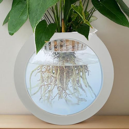 Wall Mount Vase - Strong Adhesive Silicone Vase Wall Plant Pot,Fish Tank Mount, Clear Terrarium Air Plant Holder Propagation Station for Hydroponics Plants - color: Light Gray
