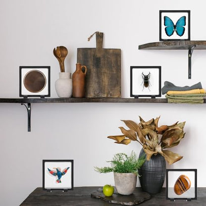 12 Pcs 3D Floating Display Case Floating Frame Display Holder Stand Challenge Coin Jewelry Frame Box for AA Medallions Fossil Rock Gemstones Specimen(Black,4.3 x 4.3 x 0.8 Inch,Square Base) - color: Black, size: 4.3 x 4.3 x 0.8 Inch, style: Square Base