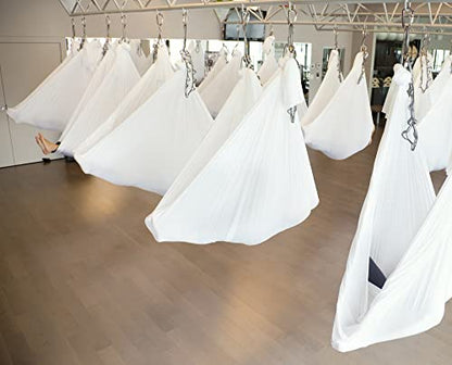 F.Life Aerial Silk Yoga Hammock & Swing for yoga Inversion,Strength training,starter hardware kit - color: white