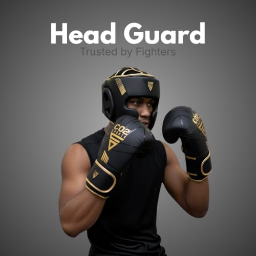 Titan Boxing Headgear, Training Head Guard, Protective Gear for MMA, Kickboxing, Muay Thai - color: GOLD, size: Large-X-Large