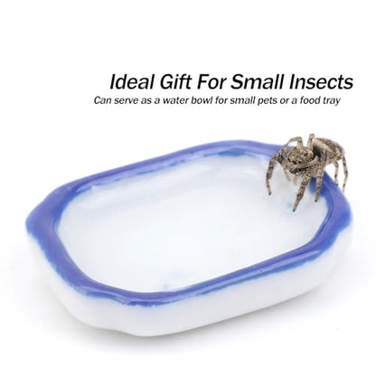 9 Pack Spider Mini Feeding Bowl Tarantula Micro Ceramic Water Dish for Spider Cricket Snail Manti Bugs Insect Tarantula Enclosure Accessories