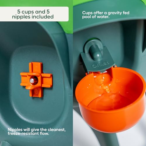 Omlet Insulated Chicken Waterer, 3 Gallon | Stay-Clean Automatic Water Dispenser for Chickens | BPA-Free | Anti-Roost Domed Lid | Includes 5 Cups & Nipples | Sage Green - color: Sage Green, size: 3 Gallon