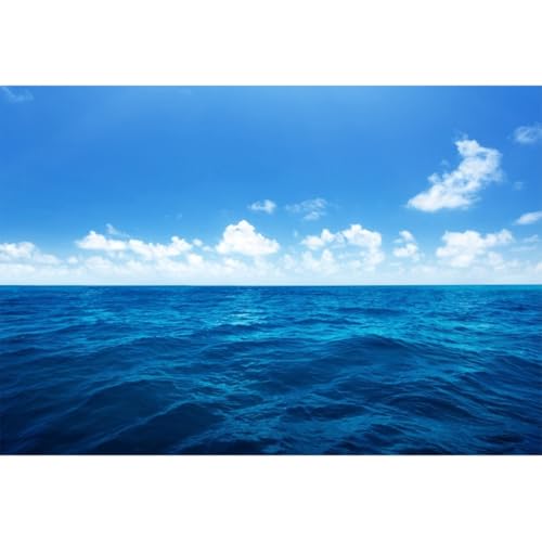 Yeele 8x6ft Blue Ocean Scene Backdrop Blue Sky White Clouds Sea Wave Natural Seascape Photography Background for Sea Theme Baby Shower Kids Birthday Party Decoration Photo Shoot Props Vinyl