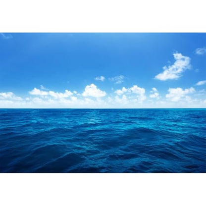Yeele 8x6ft Blue Ocean Scene Backdrop Blue Sky White Clouds Sea Wave Natural Seascape Photography Background for Sea Theme Baby Shower Kids Birthday Party Decoration Photo Shoot Props Vinyl