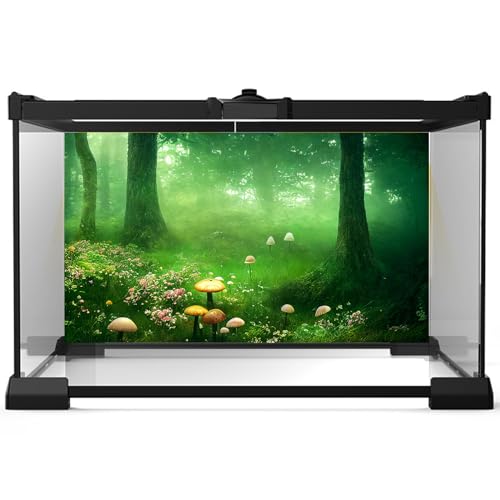 3 Pack Forest Reptile Habitat Background Tropical Rainforest Aquarium Background Foggy Forest Sunray Mushrooms Terrarium Wallpaper Rock Mountain Clear Blue Sky Fish Tank Poster 48x24in - size: 48(W)x24(H)inches/ 120(W)*60cm(H)