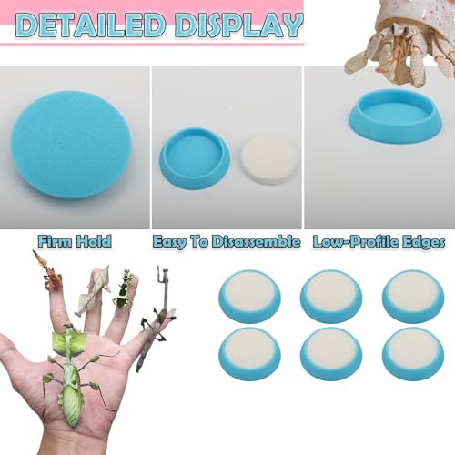 6 Pcs Cricket Water Bowl Plastic Feeding Dish with 6 Pcs Sponge for Hermit Crab Cricket Scorpion Ant Isopod Invertebrate (Blue)