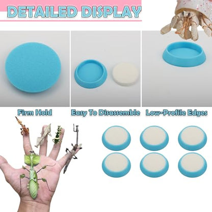 6 Pcs Cricket Water Bowl Plastic Feeding Dish with 6 Pcs Sponge for Hermit Crab Cricket Scorpion Ant Isopod Invertebrate (Blue)