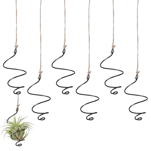 6 Pack Air Plants Live Holders Hanging Air Plant Holder Adjustable Rust-Resistant Iron Rings With Jute Ropes Soilless Stand Display Container For Tillandsia Succulents Home Office Decor Black