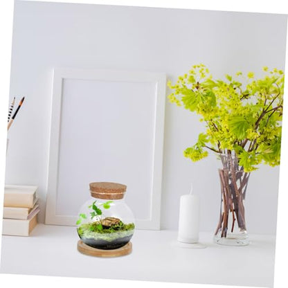ABOOFAN 2Set Glass Betta Fish Tanks with Cushion Mat Small Vases for Desktop Plant Display and Home Office Decoration