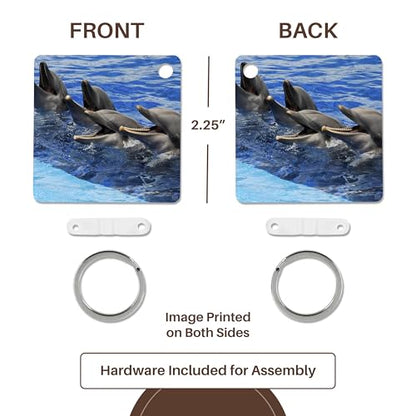 3dRose, Four dolphins on surface of the water at Oceanographic Aquarium in Valencia, Spain, Key Chain