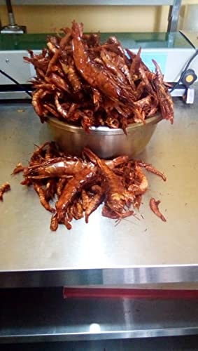 Colour Flavour Dried Red Shrimps (Oporo) 100g | Premium Nigerian Dried Seafood | Natural Smoked Red Prawns for Cooking & Seasoning | High-Protein, Rich Shrimp Flavor